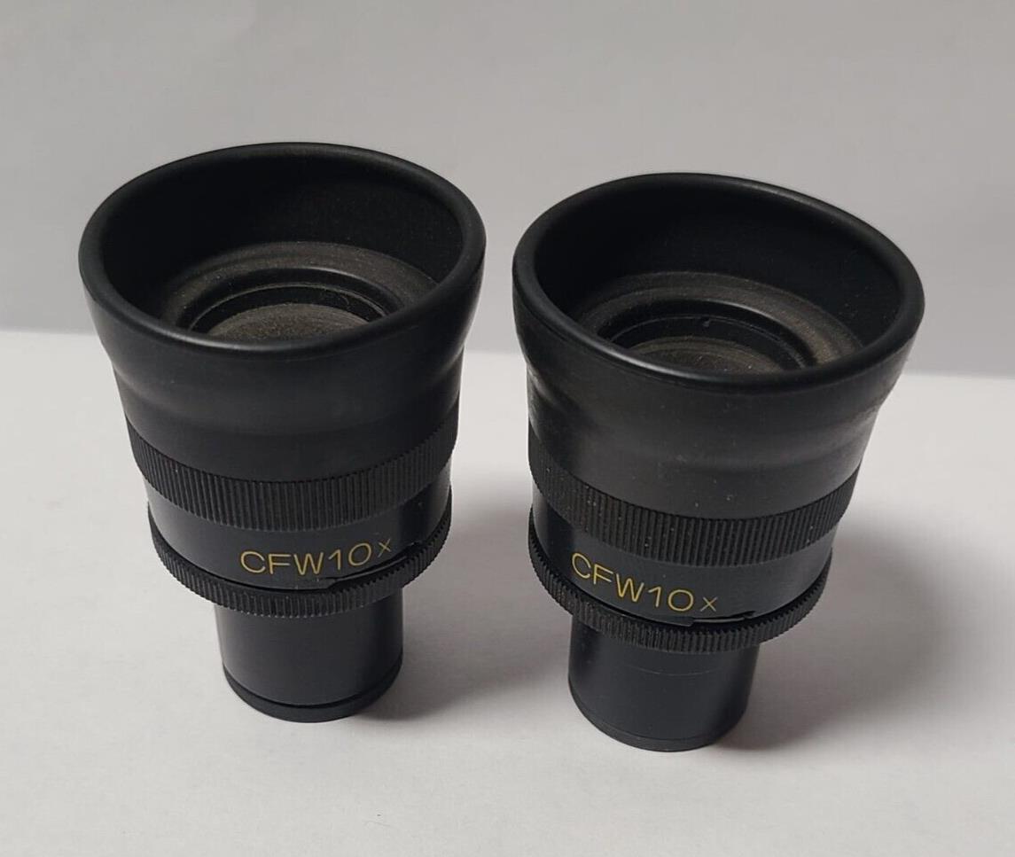 Pair Nikon CFW 10X Microscope Eyepieces Japan