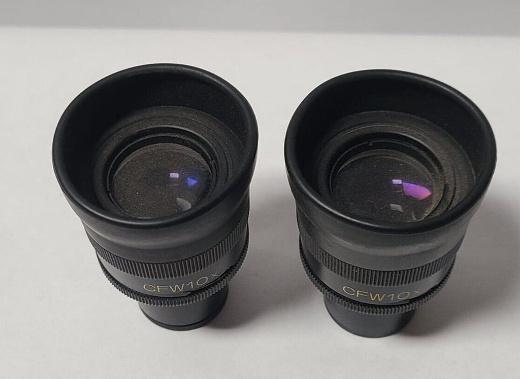 Pair Nikon CFW 10X Microscope Eyepieces Japan