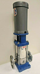 G&L Goulds Water Technology 2SVBK5 Centrifugal Pump